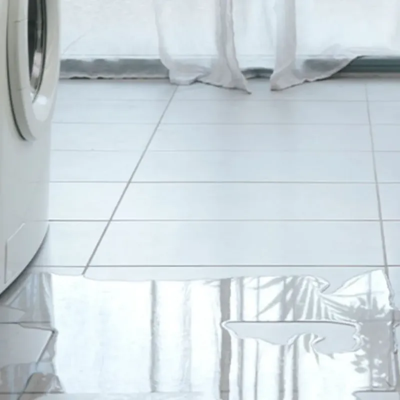 Appliance Leak Cleanup in Palmview, TX